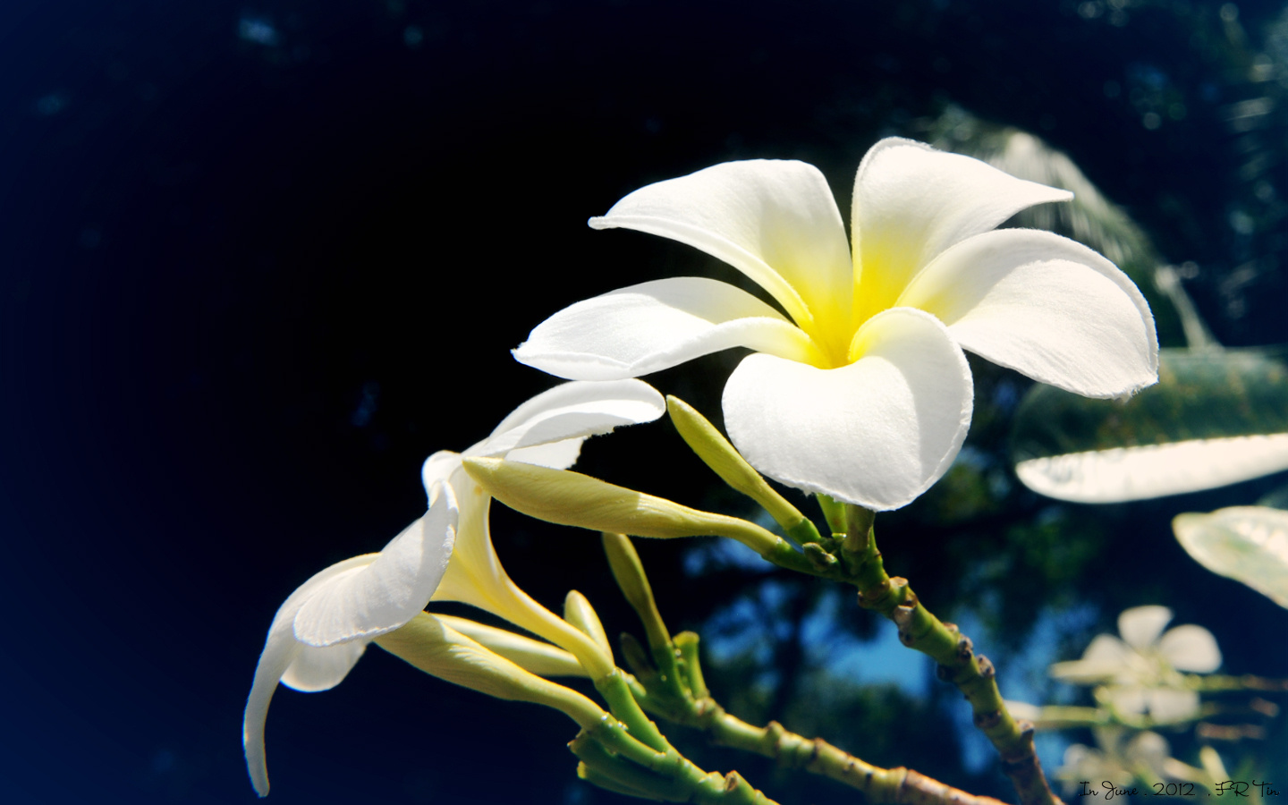 适合1440*900的屏幕当壁纸哦