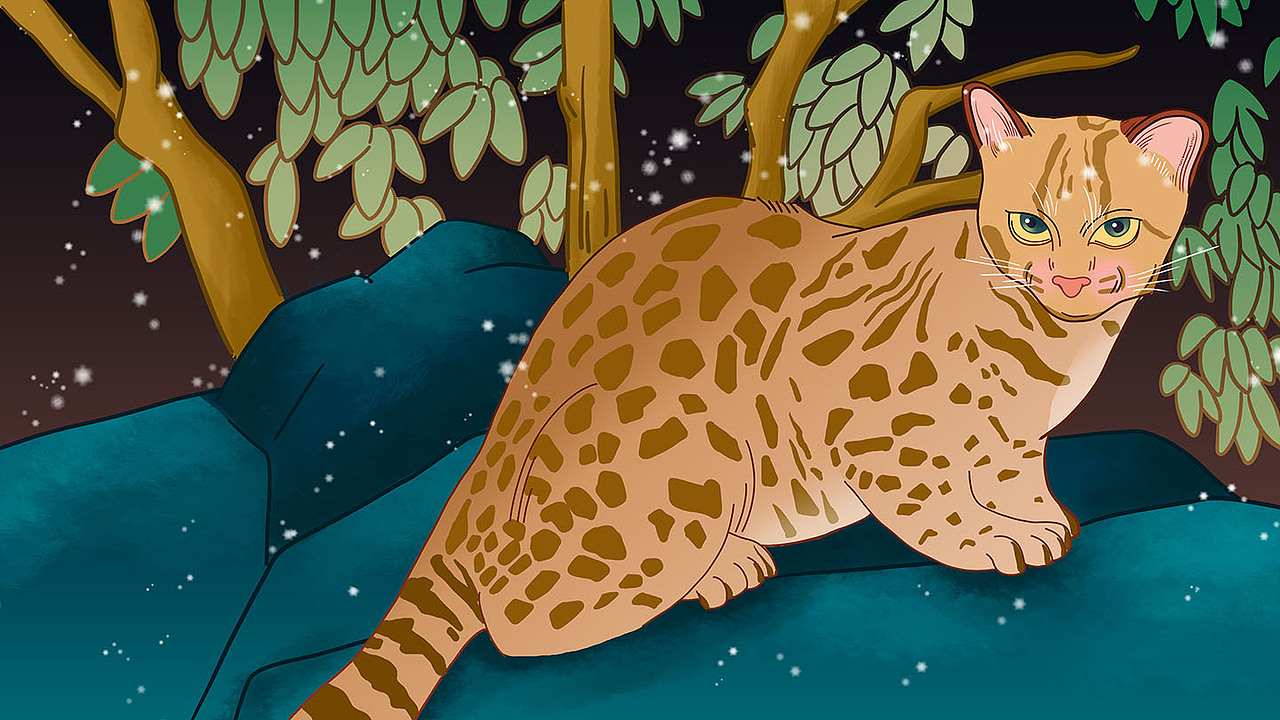 《东灵山的一天》数字绘本创作（图ZMjIyNDYwNDc2） - 绘本 - 站酷设计师卓小昕sweetheart原创素材 - 站酷ZCOOL