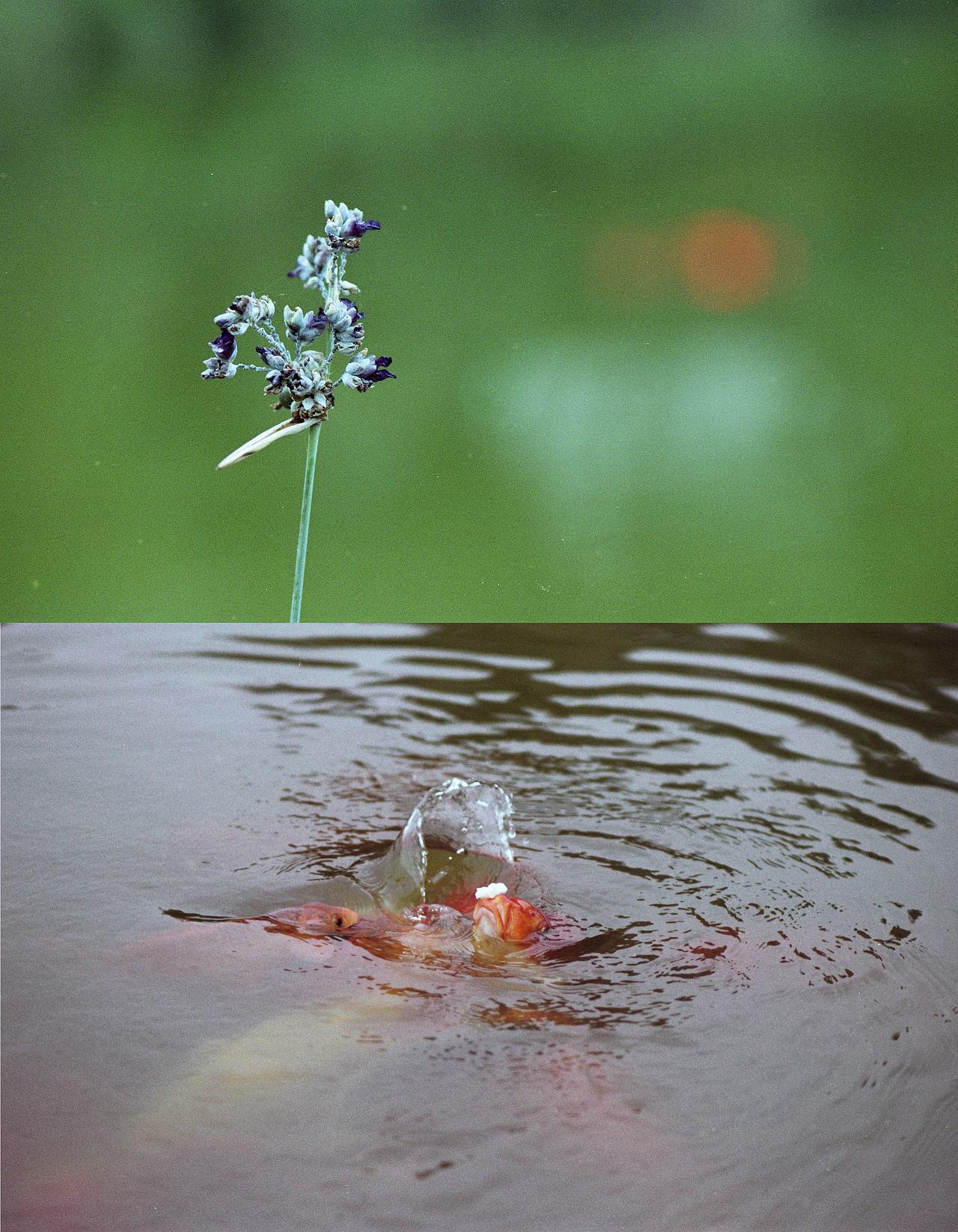 重庆日常（胶片）（图ZMTM2MzQxNTA0） - 人文/纪实摄影 - 站酷设计师苏Prise_原创素材 - 站酷ZCOOL