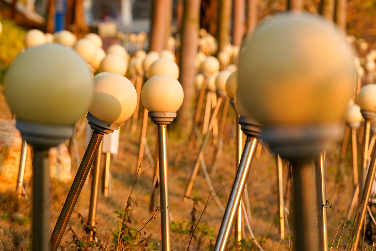 户外风光摄影-生活中处处是美景