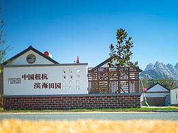 乡村振兴