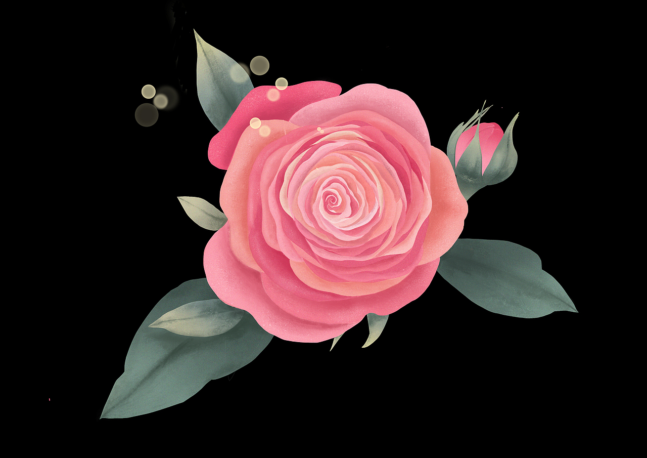 复古风格的装饰性玫瑰花手绘插画北京/平面设计师/3年前/169浏览zaya