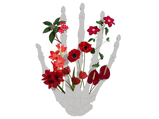 医学插画-国家植物园素材（个人主页-ZNTk2NTg4MzY=） - 创作习作 - 站酷设计师草莓大付原创素材 - 站酷ZCOOL