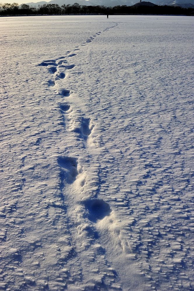 颐和园.雪