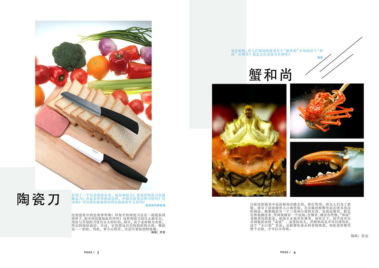 杂志排版（图ZMjg5Nzg1NjA4） - 书籍/画册 - 站酷设计师豆浆油条芝麻包原创素材 - 站酷ZCOOL