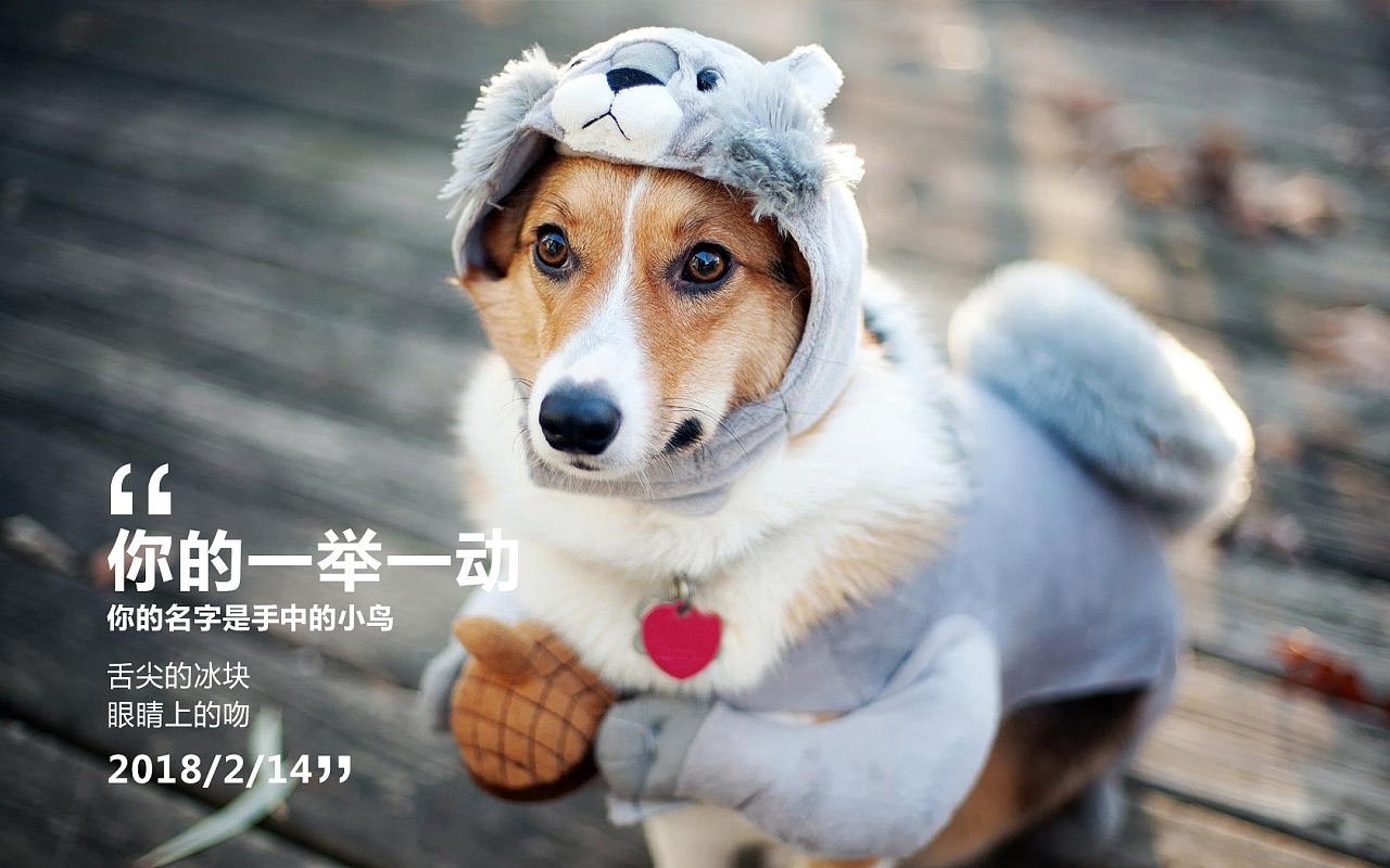 520情人节单身狗搞笑趣味表情包图片_配图网