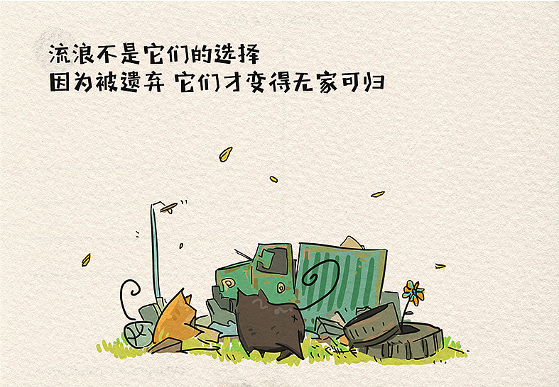 韩先生的养猫日记-第三季