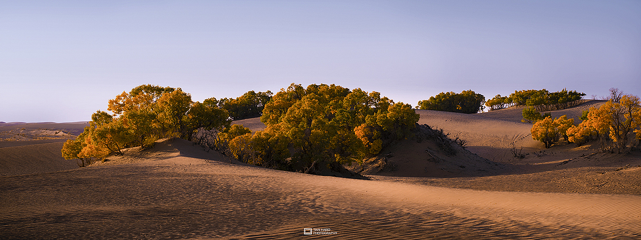 地儿来了·记忆里的那次穿越