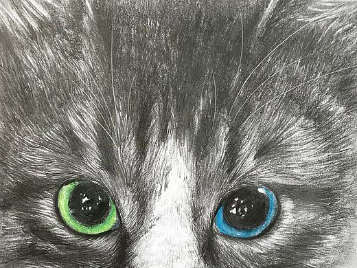 藍(lán)眼綠眼小貓咪（個人主頁-ZMzUxOTg4Mjg=） - 創(chuàng)作習(xí)作 - 站酷設(shè)計師MRBOLO原創(chuàng)素材 - 站酷ZCOOL