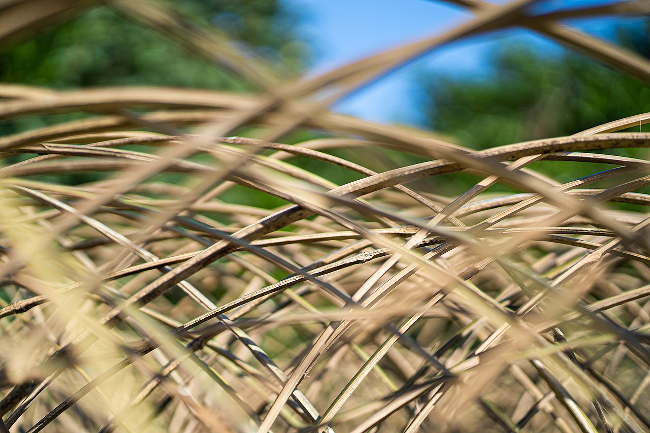 地景藝術《風的季節》（图ZMjQyNTc3MjIw） - 实验艺术 - 站酷设计师林靖格原创素材 - 站酷ZCOOL