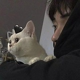 Drimary_Tao的头像