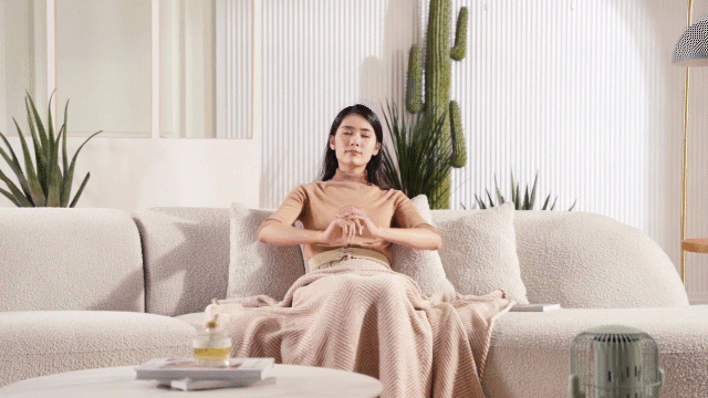 家电摄影丨INTERPRETER×网易严选仙人掌复古取暖器