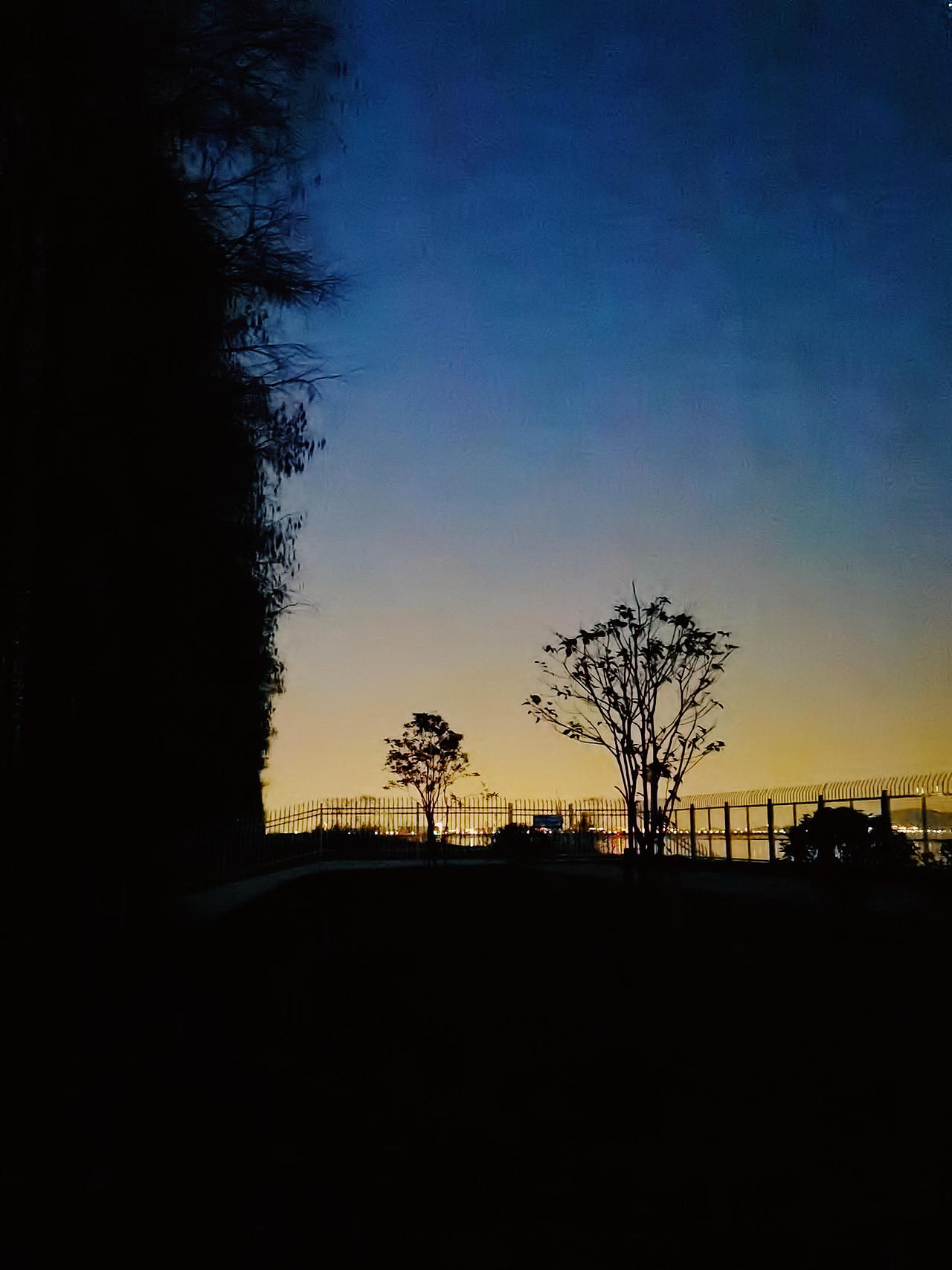 玉兰花和爵士乐的夜晚