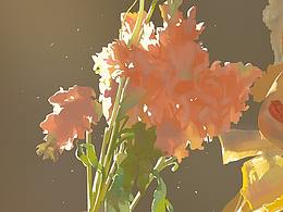 速涂合集(1-5月)