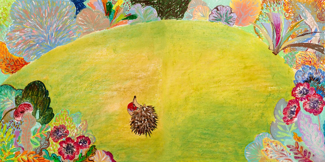 皮皮-小刺猬童书插画