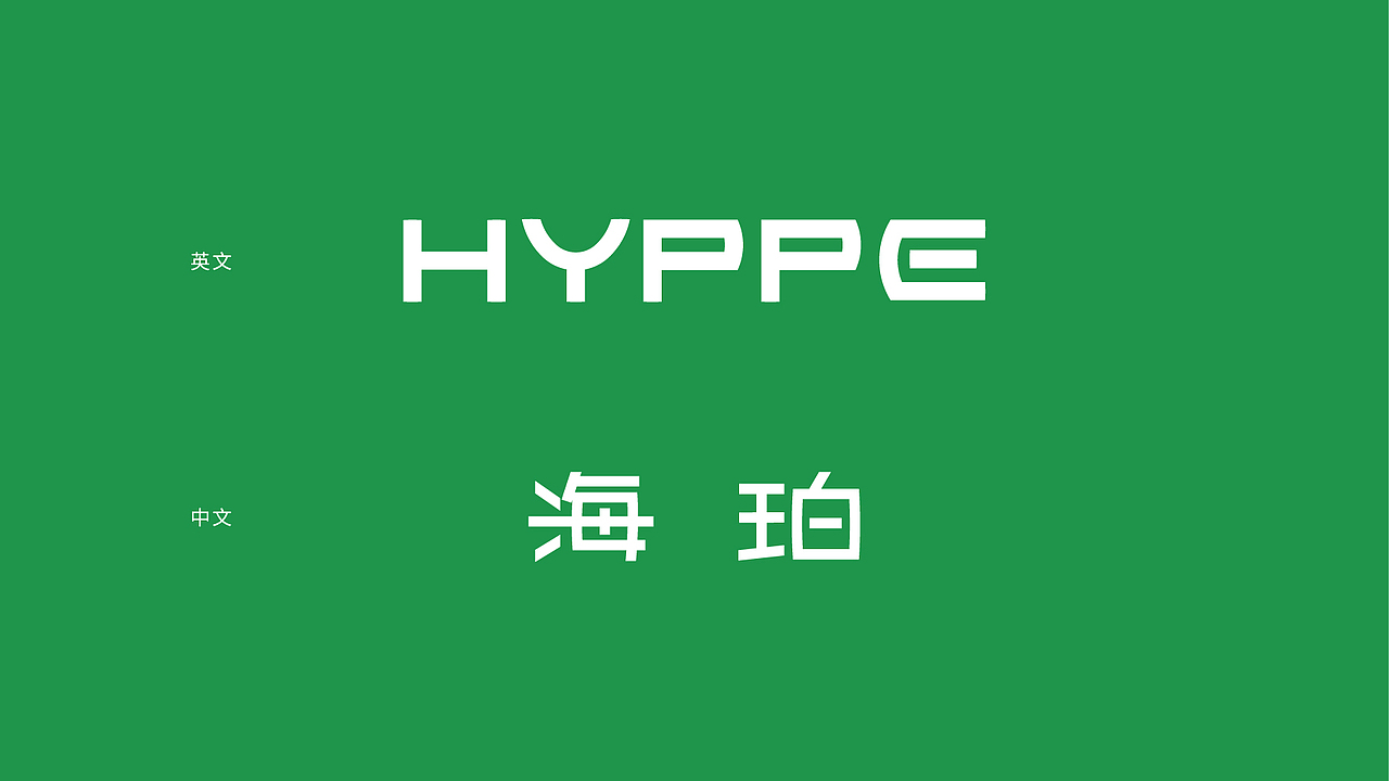 HYPPE海珀｜品牌VI设计 LOGO（图ZMzM3OTk3NzQw） - 品牌 - 站酷设计师设计师徐国原创素材 - 站酷ZCOOL