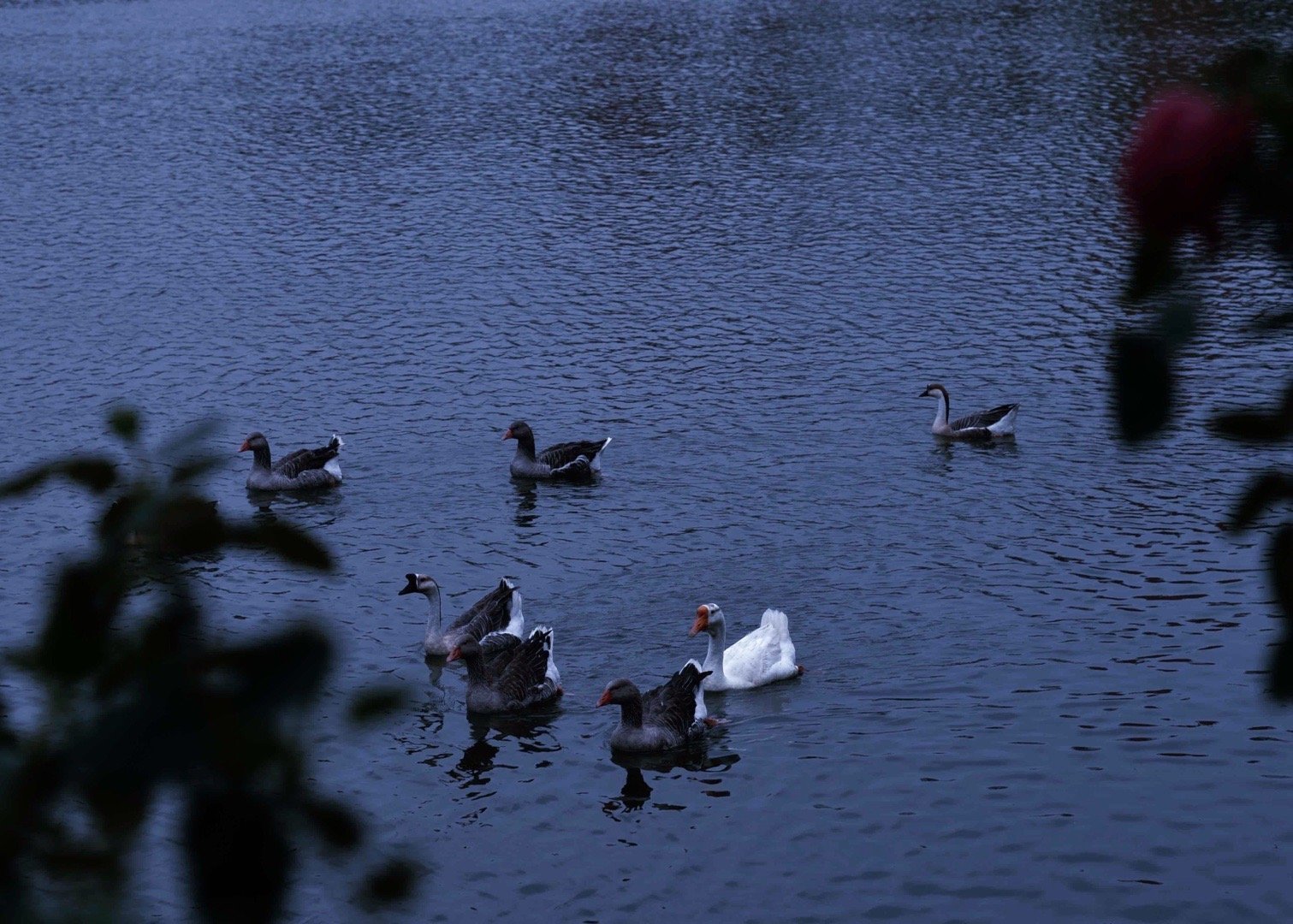 江江想跳舞的個人主頁（封面預(yù)覽） - 主頁封面設(shè)置 - 站酷設(shè)計(jì)師江江想跳舞原創(chuàng)素材 - 站酷ZCOOL