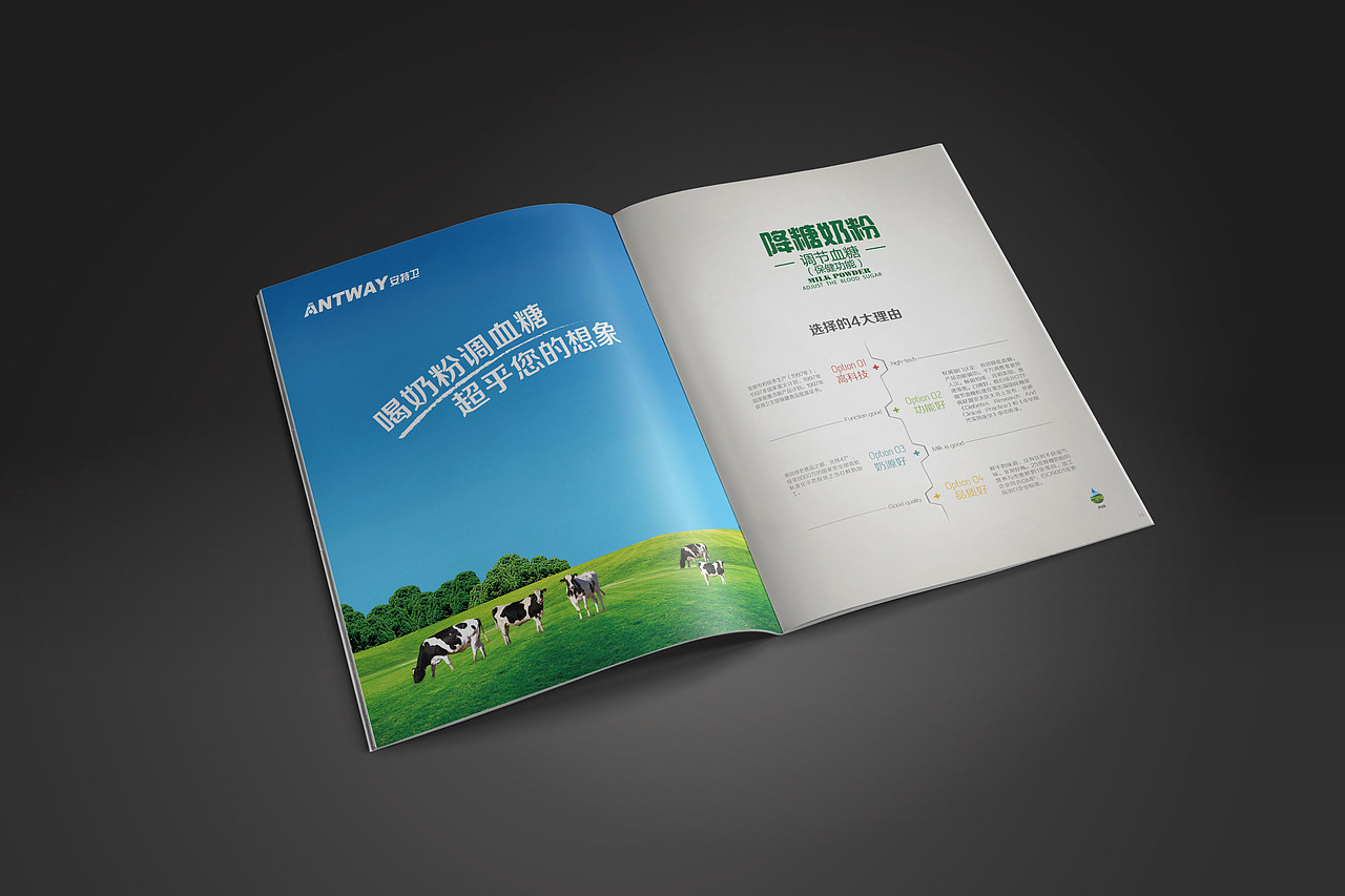 奶粉宣传册 宣传册 册子 杂志