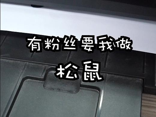手工毛绒玩偶--松鼠