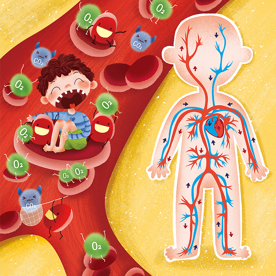 收藏 绘本系列 收藏 《了不起的消化工厂》 收藏 收藏 收藏 收藏 收藏