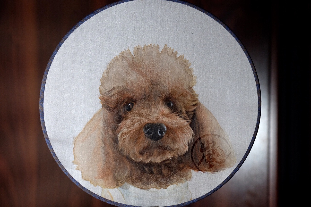 手绘团扇定制画泰迪1