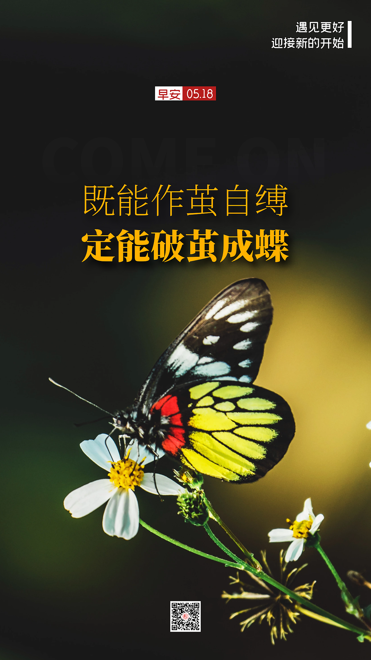 早安励志海报摄影文字排版