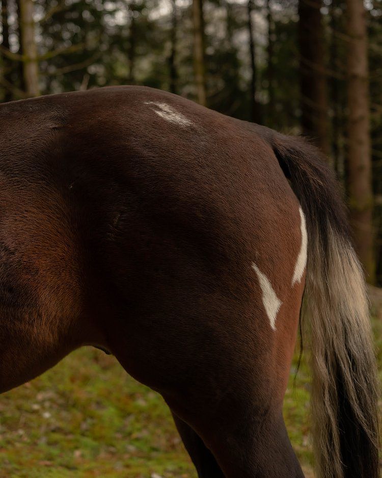 户外电商品牌形象片拍摄