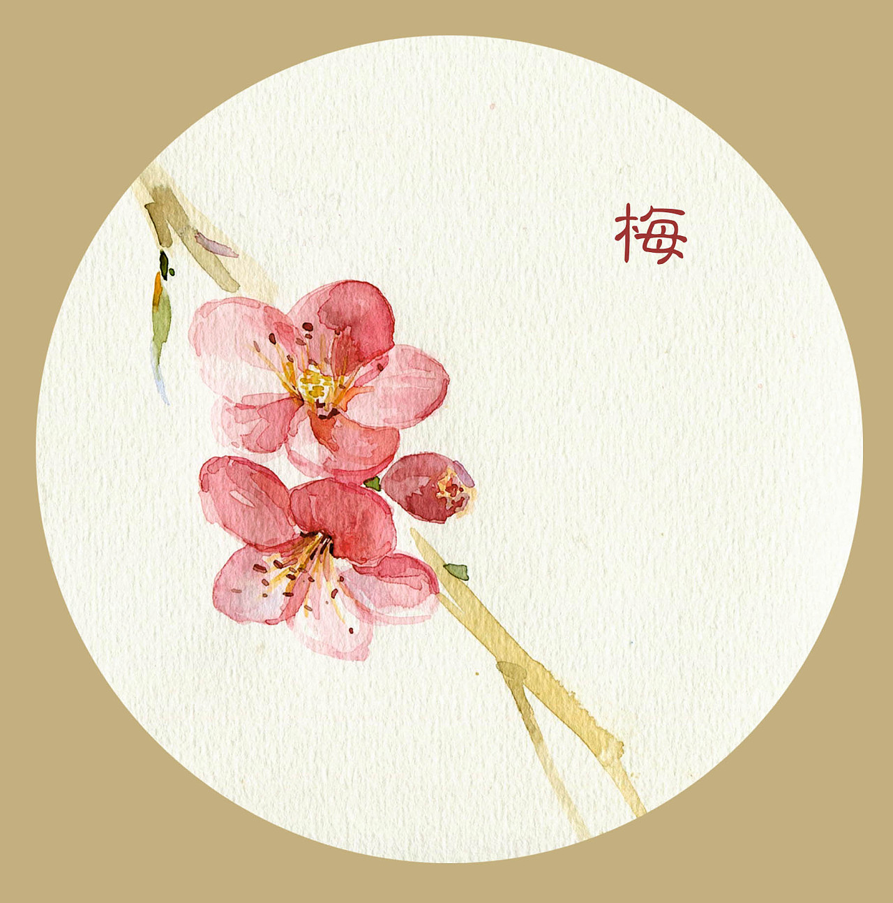 手绘水彩花鸟班老师作品