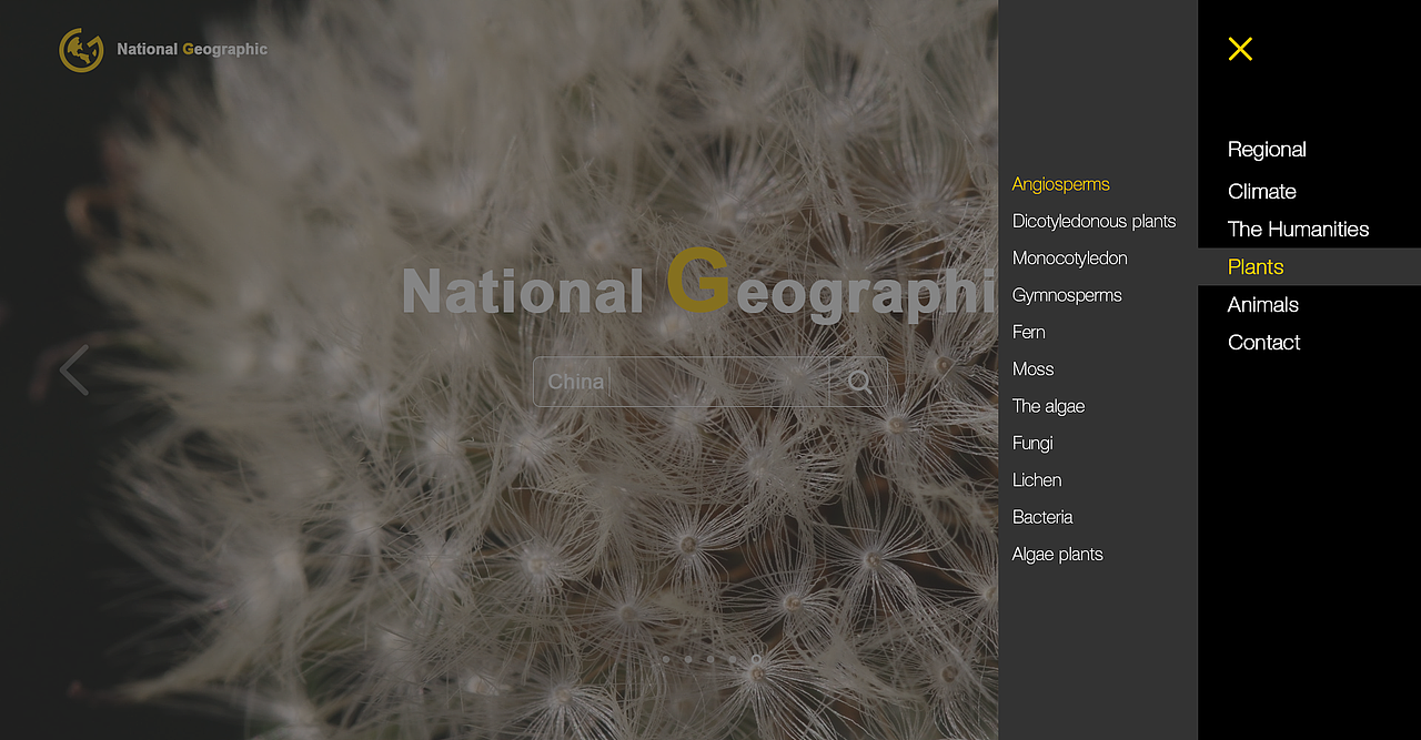 web（图ZMzI4NjY1MTI=） - 其他网页 - 站酷设计师Qslman原创素材 - 站酷ZCOOL
