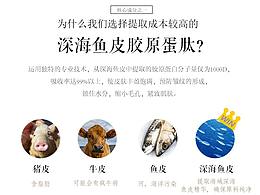 女性飲品深海魚皮膠原蛋白肽成分海報(bào)