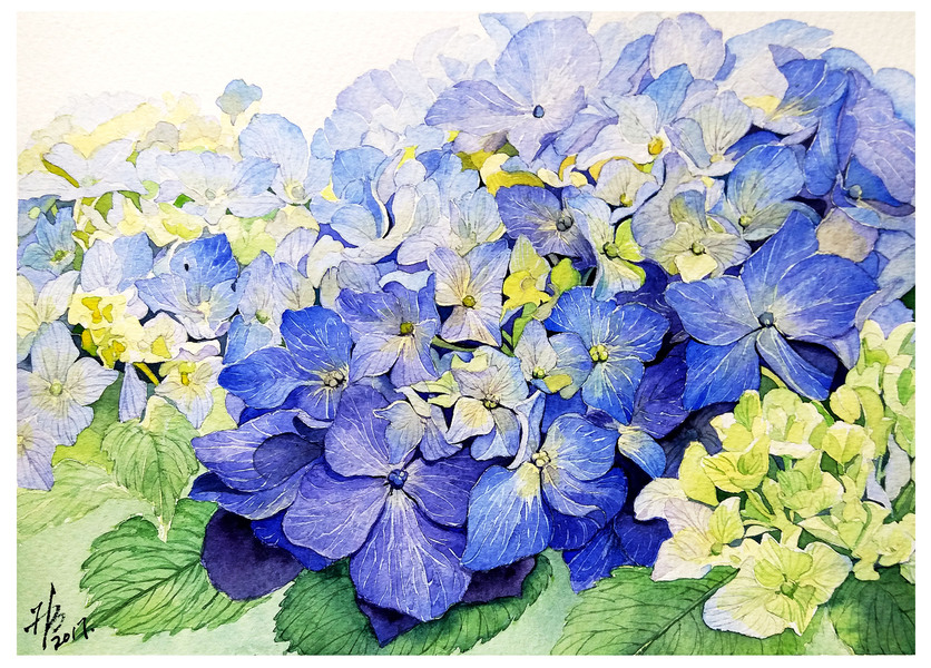 那些花儿——水彩花卉