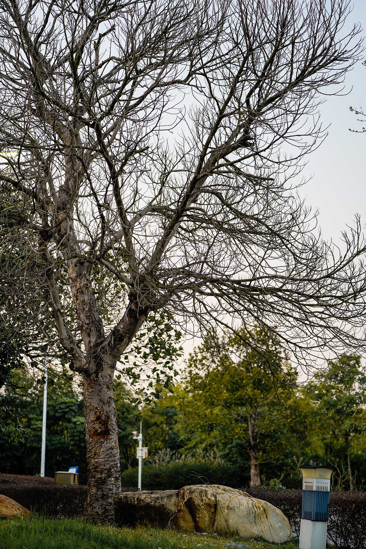 户外风光摄影-生活中处处是美景