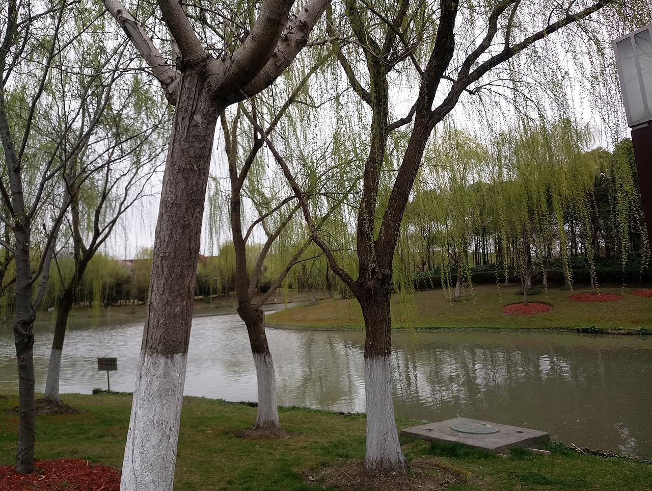 春之密影（图ZMTA4MjU3Njgw） - 产品摄影 - 站酷设计师珍丫头原创素材 - 站酷ZCOOL