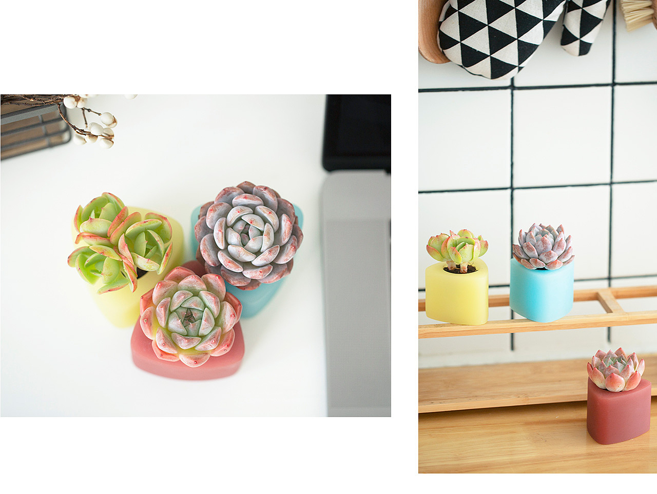 三款INS风家居无土栽培多肉植物-产品摄影（图ZMTMzNTk2NDc2） - 产品摄影 - 站酷设计师Pazza大安原创素材 - 站酷ZCOOL