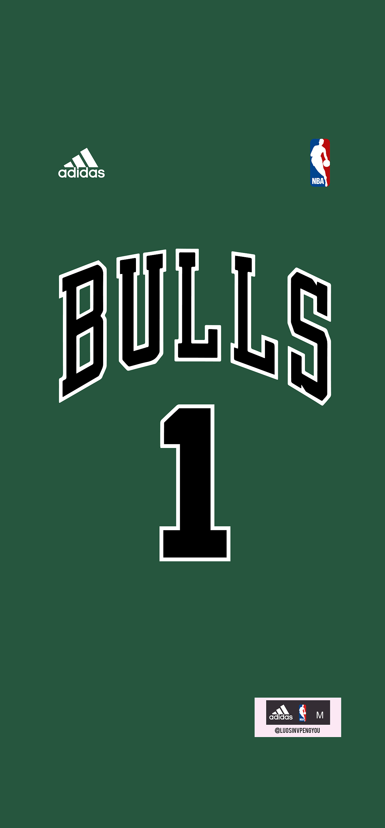 nba德里克罗斯球衣壁纸