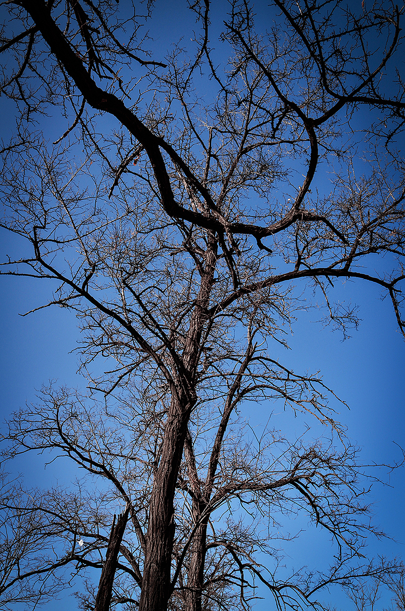 北大未名集团留影II