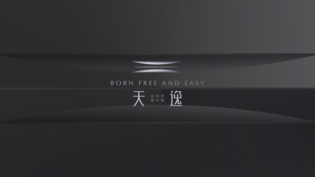 竞标作品-天逸（图ZMjkyMjU0Mzg4） - 品牌 - 站酷设计师尚武2021原创素材 - 站酷ZCOOL