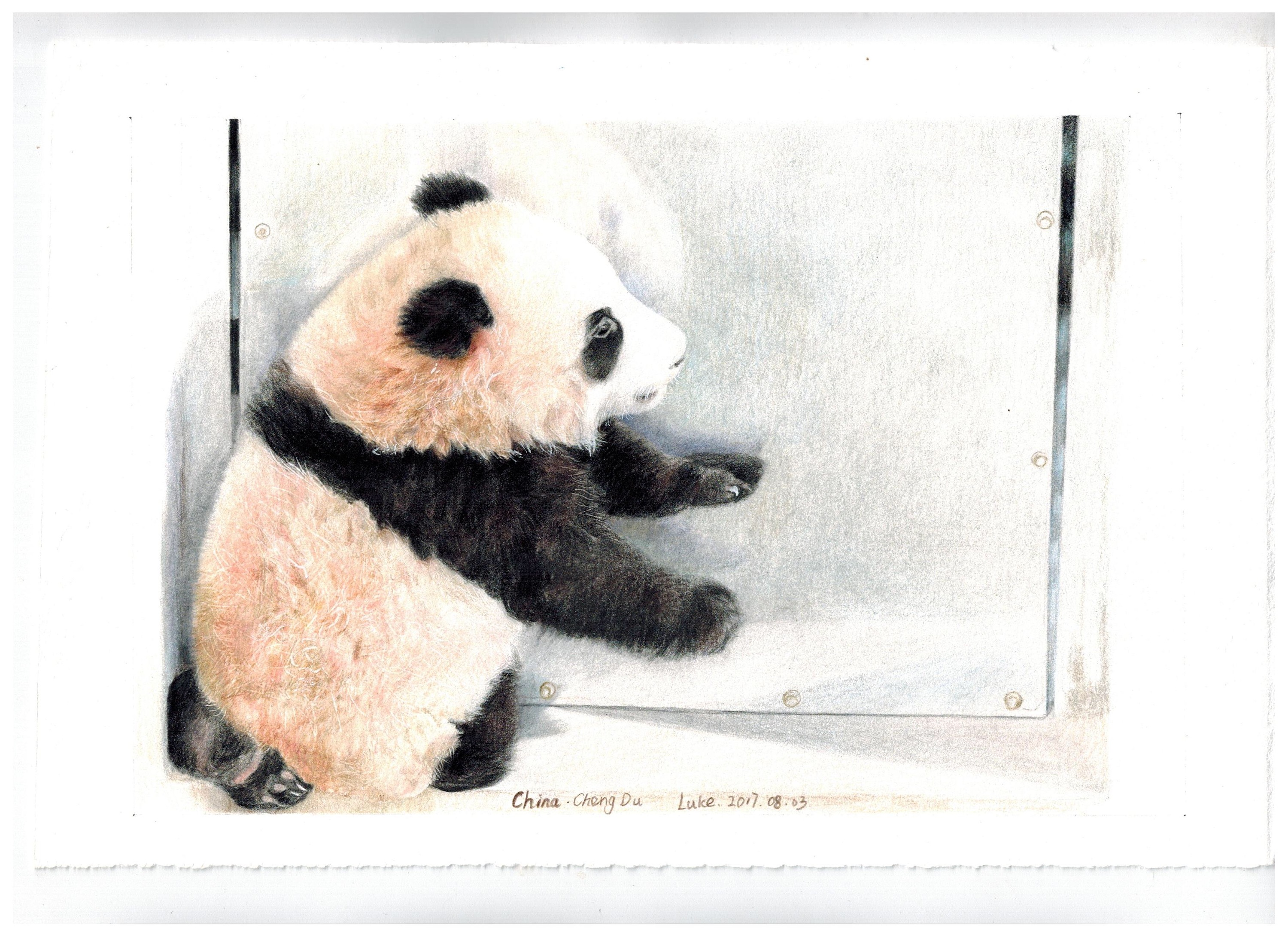 花生的故事|纯艺术|彩铅|路加水彩 - 原创作品 - 站酷 (zcool)