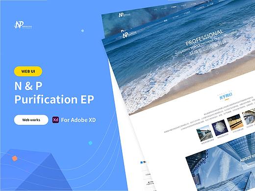 N&P Purification Ep/网页