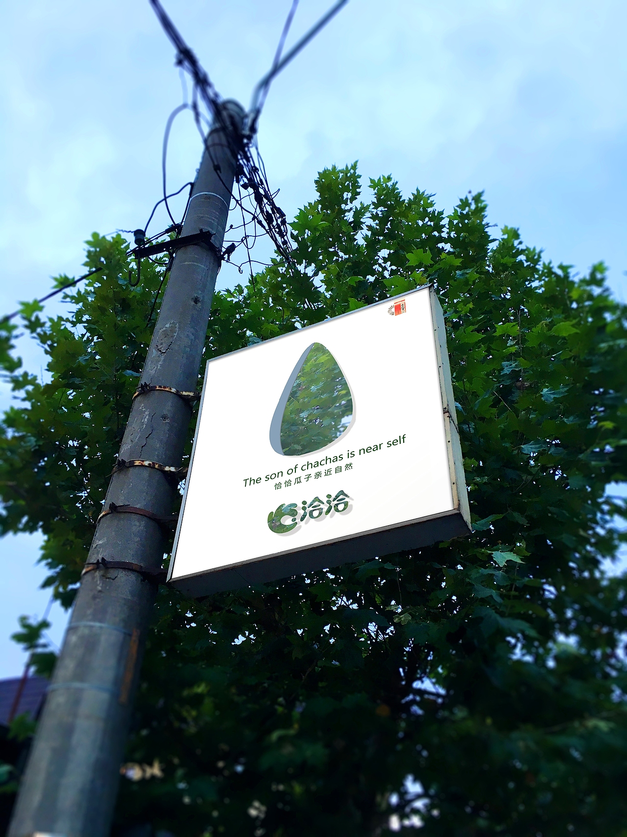 洽洽瓜子户外广告练习设计（图ZMTQzNjI4Mzk2） - 其他 - 站酷设计师胡黑豆原创素材 - 站酷ZCOOL