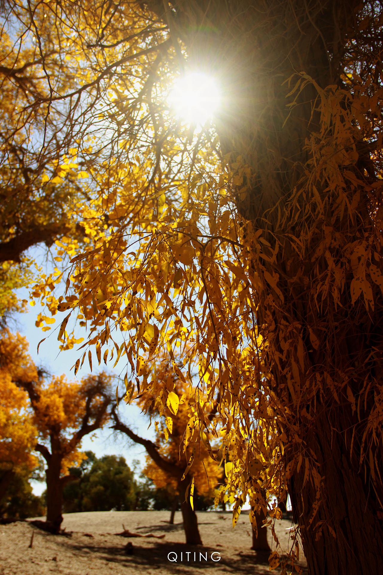旅行 | 寻找上帝打翻的调色盘（图ZMjI1NDExNDg0） - 风光摄影 - 站酷设计师苏婶二原创素材 - 站酷ZCOOL