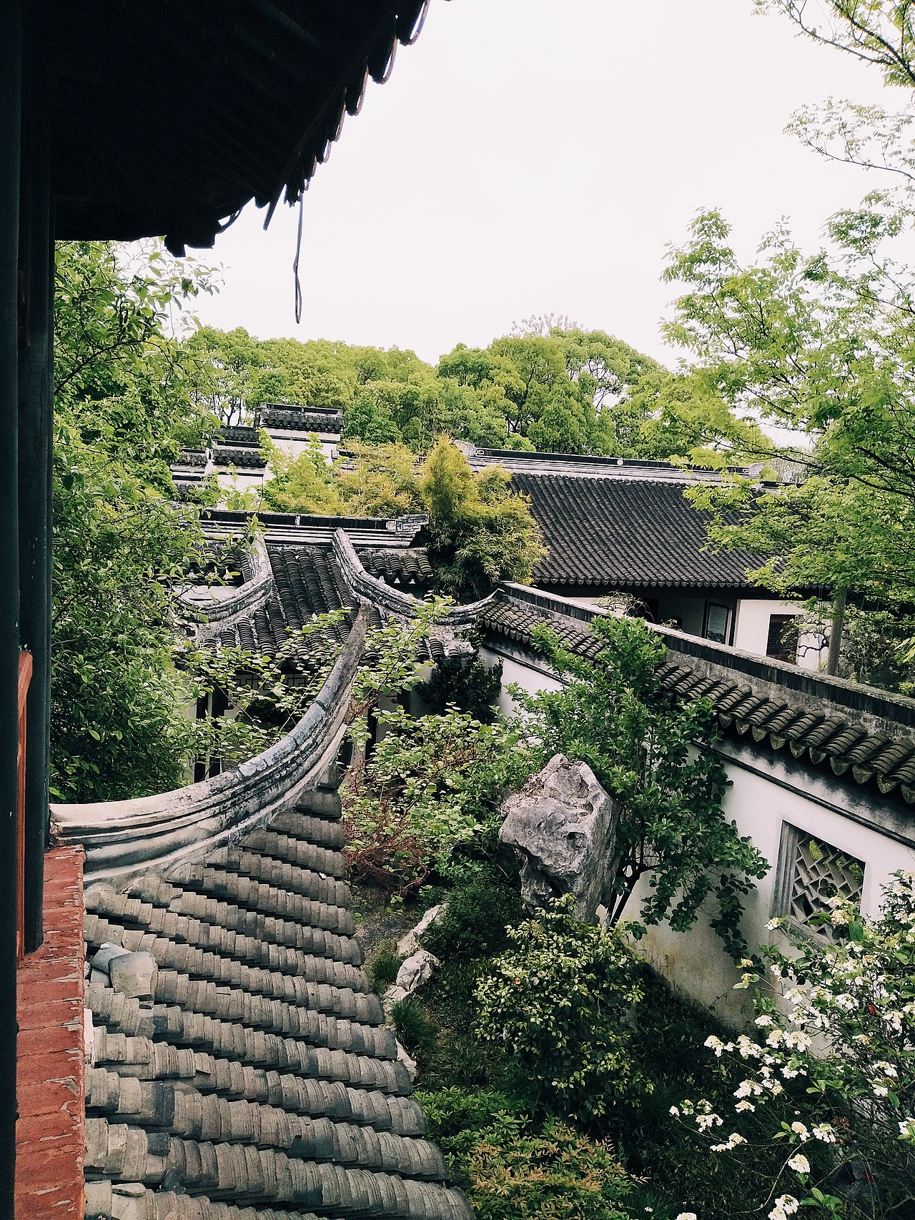 还不够好,但是我要学着努力长大