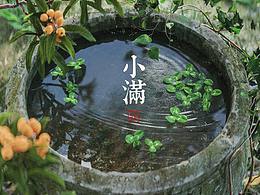 平面海报