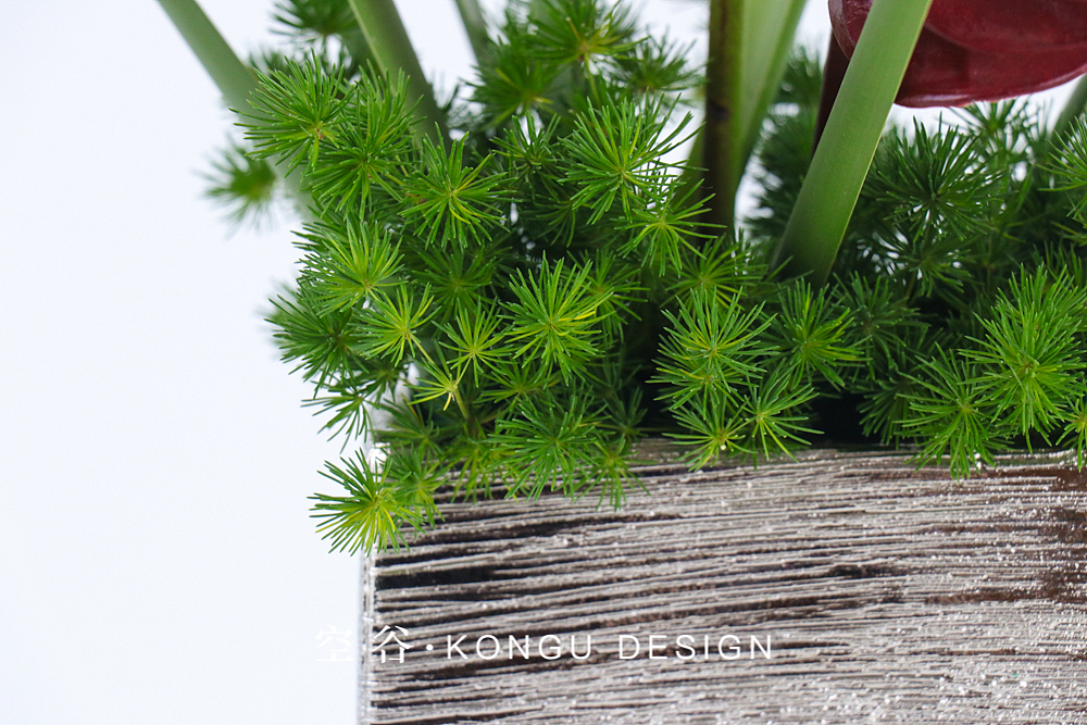 简约风格的办公室桌花（图ZMTIwMjQ0MDIw） - 产品摄影 - 站酷设计师Vicky的后花园原创素材 - 站酷ZCOOL