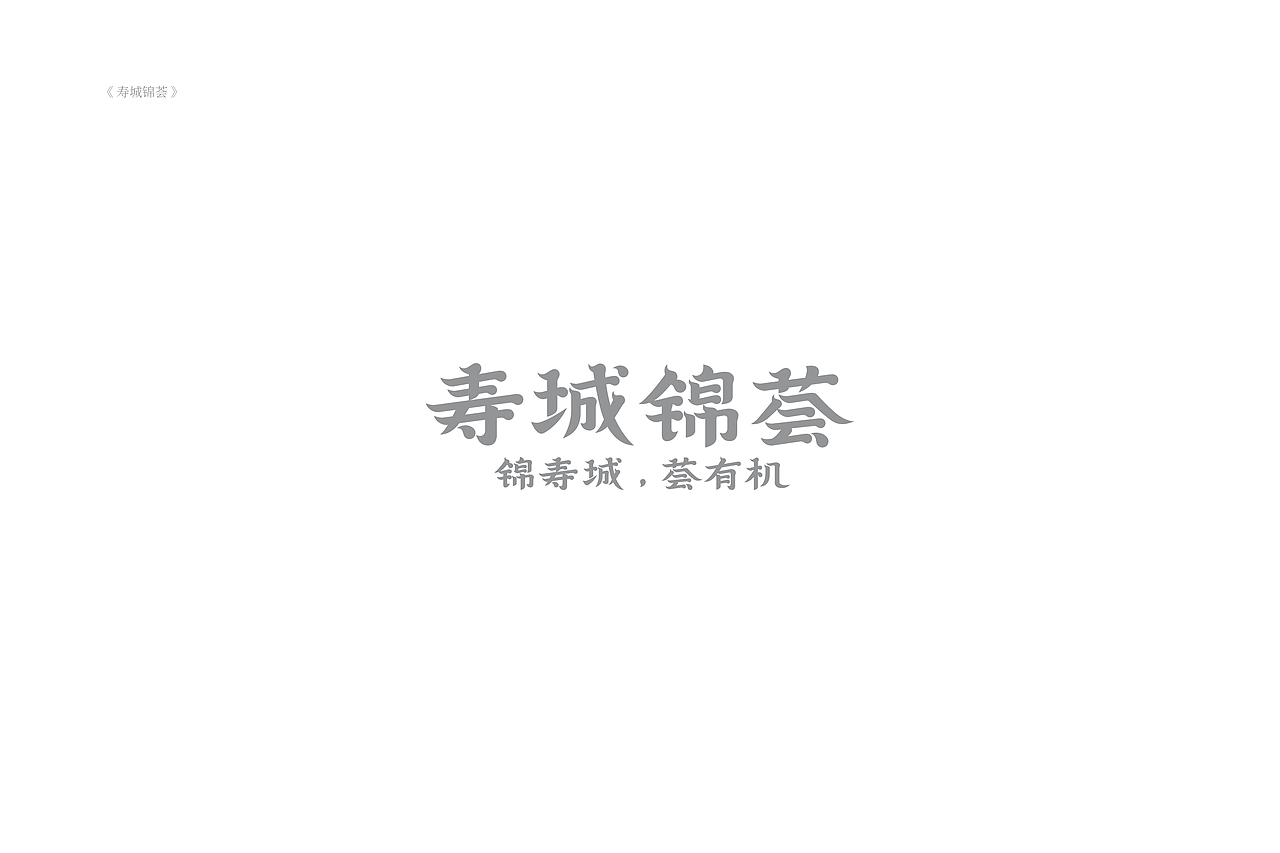 琢字先生® |2020年字体设计合集