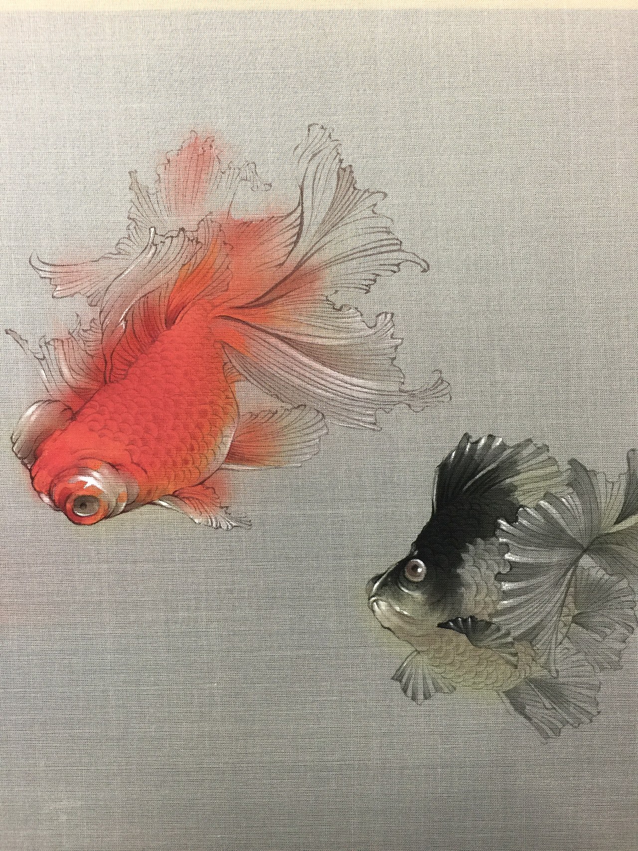 画了一些肥金鱼 - 原创作品 - 站酷(zcool)