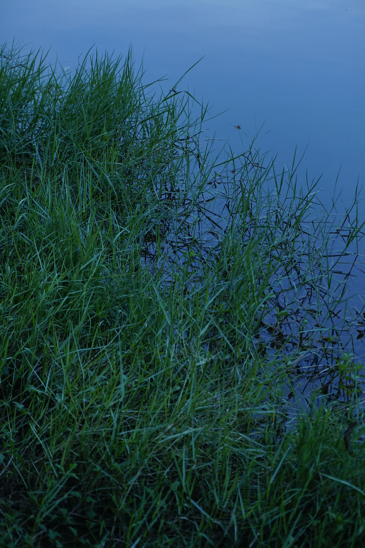 绿（图ZMjIwMDM4MDYw） - 风光摄影 - 站酷设计师木质箱子原创素材 - 站酷ZCOOL