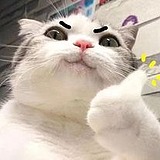 意向七公子丶的头像