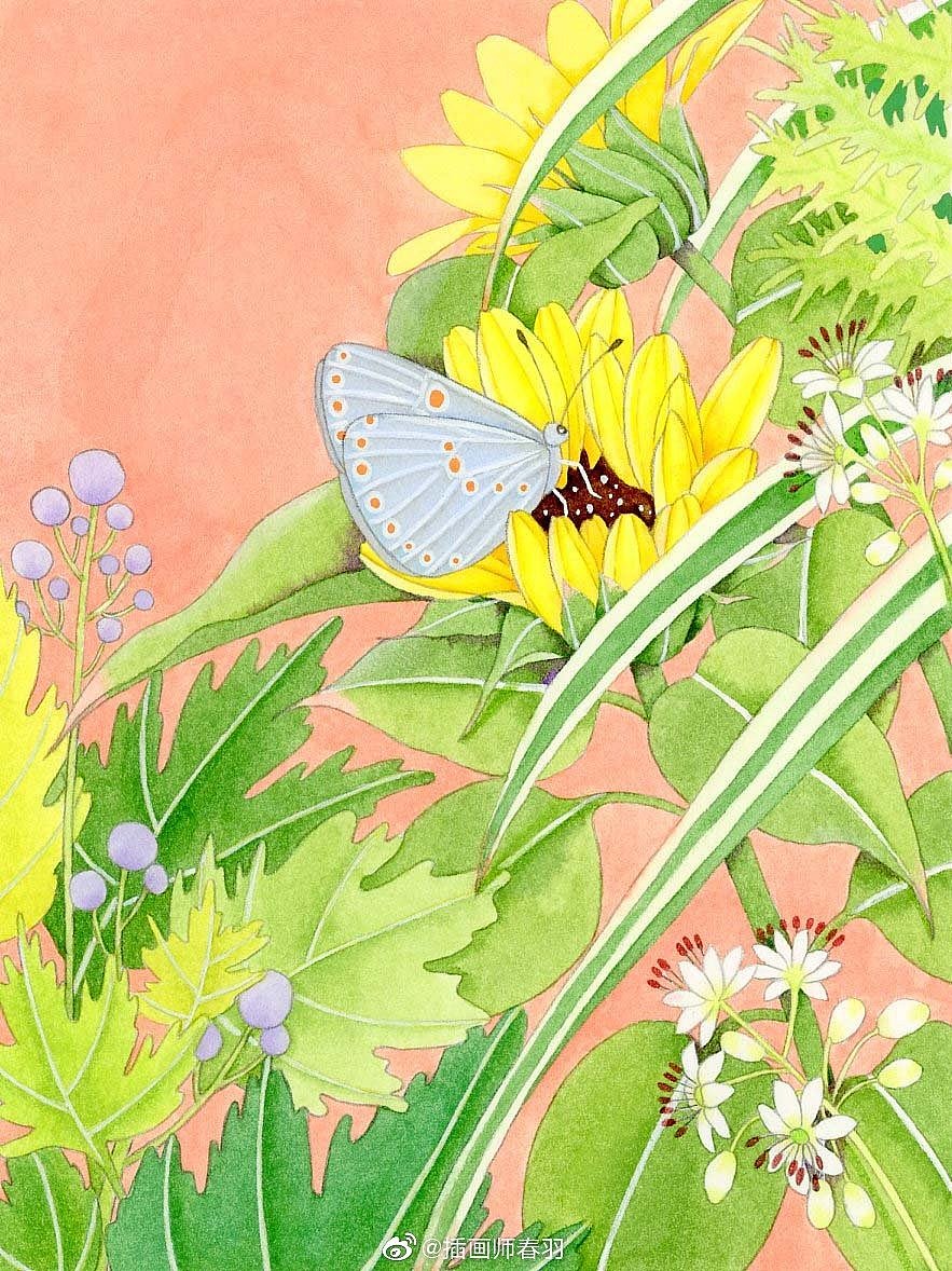 猫与向日葵（图ZMjczNDkyNTY4） - 创作习作 - 站酷设计师插画师春羽原创素材 - 站酷ZCOOL