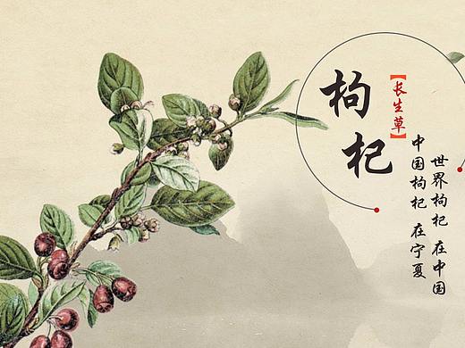 枸杞banner（個(gè)人主頁-ZMjc1OTU1NzI=） - 運(yùn)營設(shè)計(jì) - 站酷設(shè)計(jì)師sunhellen原創(chuàng)素材 - 站酷ZCOOL